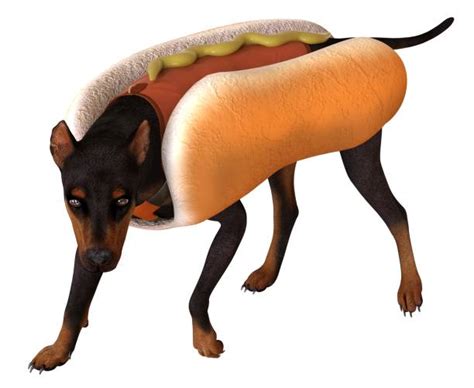 90 Dog Hotdog Costume Stock Photos Pictures And Royalty Free Images