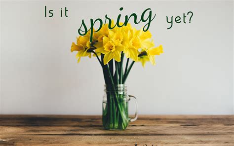 Is It Spring Yet 3 Top Tips To Help You Transition With Ease A