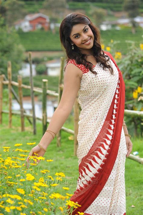 Richa Gangopadhyay Hot Saree Photos In Sarocharu Movie