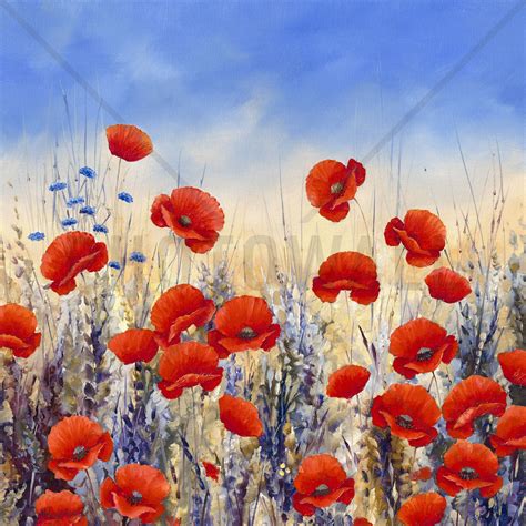 Sunset Poppies High Quality Wall Murals With Free Uk Delivery Poppy