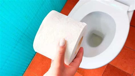 Everyday Items You Should Never Flush Down Your Toilet Granny Tricks