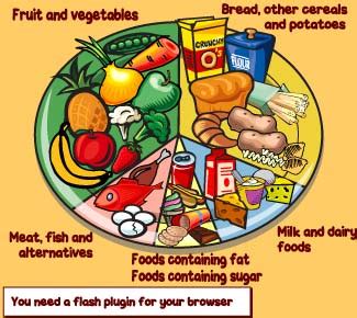 The government, for example, makes different this means that one should aim to eat most foods throughout the day from those three food groups. ICT Years Primary: Year 3 Learning Food Groups