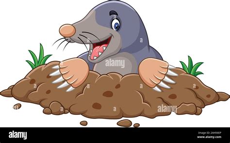 Cartoon Mole Come Out Of The Hole Stock Vector Image And Art Alamy