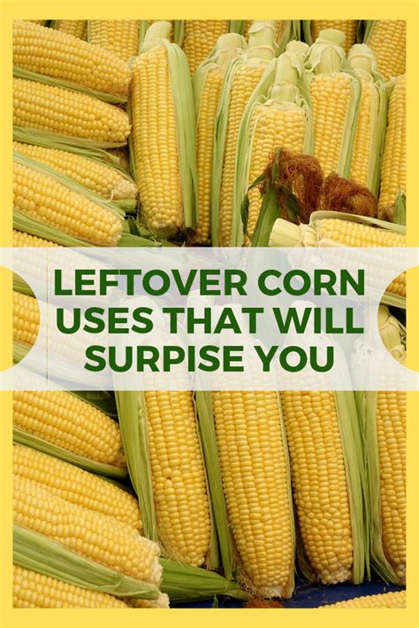 Frugal recipes, leftovers, budget meals. 12 Corn Recipes for Leftover Corn on The Cob (Sweet & Savory)