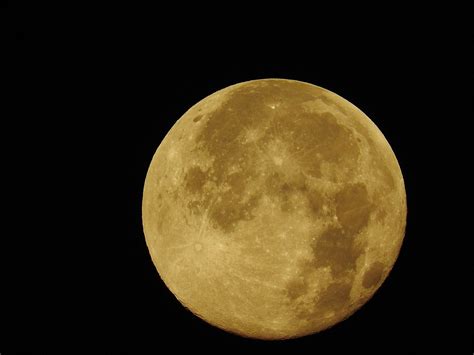 Full Moonmoonclosefree Pictures Free Photos Free Image From