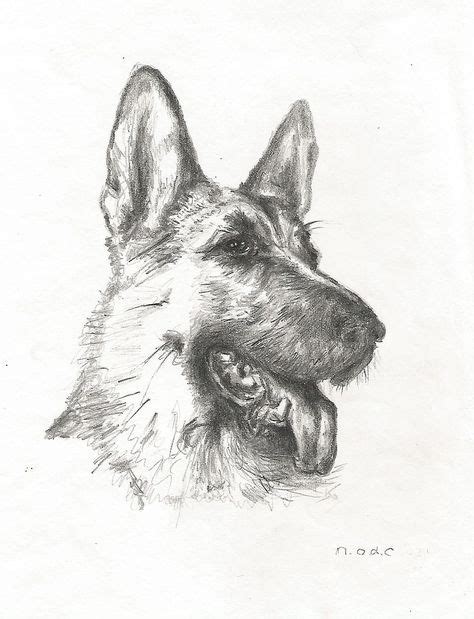 7 Easy Tutorials On How To Draw A German Shepherd Dog Or Puppy Dog