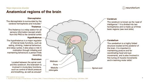 Major Depressive Disorder Neurobiology And Aetiology Neurotorium