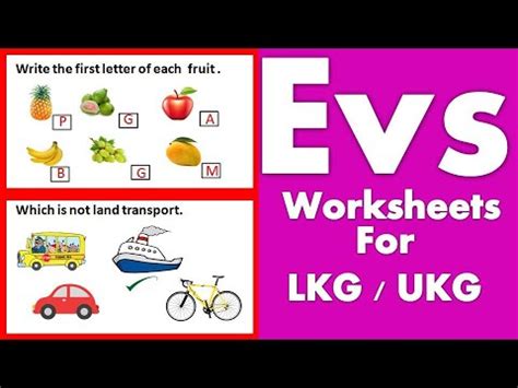ukg evs worksheet evs worksheet for lkg part 1 kidz