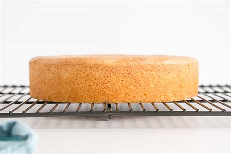 1 rounded tsp baking powder. Temperature At Centre Of Sponge Cake - Why Oven ...