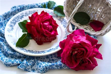 Still Life With Roses And Basket Stock Photo Image Of Valentines