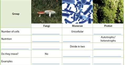 Nuestras Clases SCIENCE Fungi Monera And Protista Kingdom