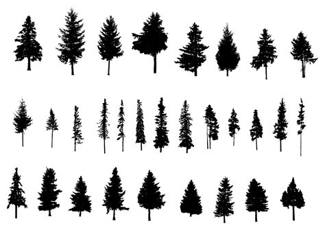 Well you're in luck, because here they come. 30 Pine Tree Silhouette (PNG Transparent) Vol. 2 | OnlyGFX.com