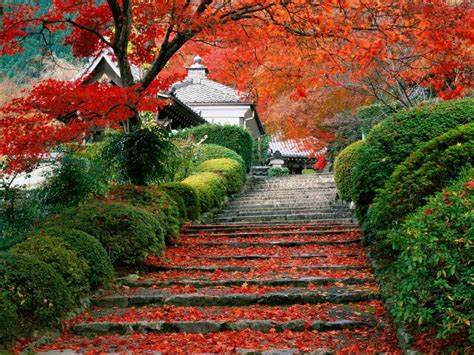 Autumn Colors Beautiful Places Japanese Gardens