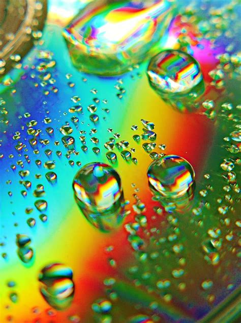 Rainbow Water Droplets Photograph By Jennifer D Fine Art America