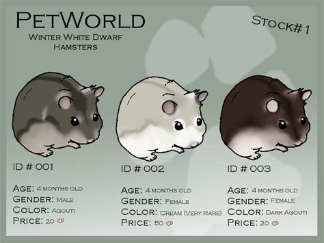 Petworld Winter White Dwarf Hamsters For Sale By Xmush Kennelsx On