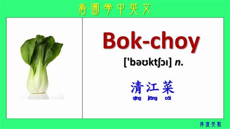 看圖學中英文 55 蔬菜 Learning Chinese And English Vocabularies About