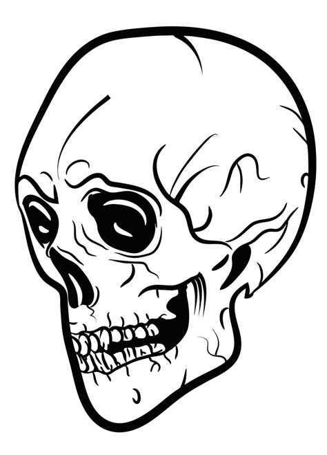 200 Free Skull Drawing And Skull Images Pixabay