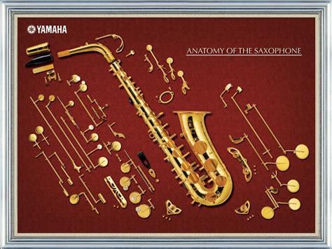 Discover The Exquisite Craftsmanship Of A Yamaha Saxophone