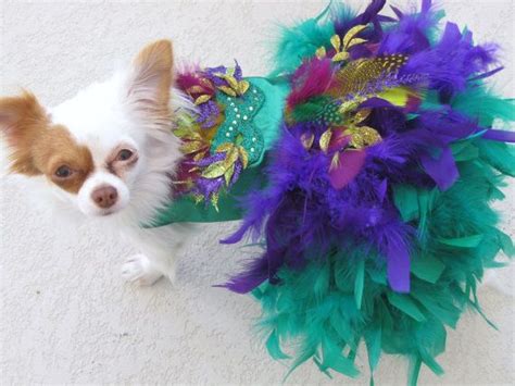 Mardi Gras Feather Harness Dog Dress By Kocouture On Etsy Mardi Gras