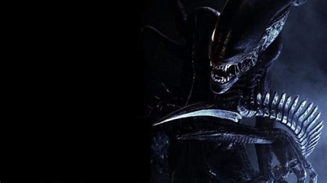 Aliens Vs Predator Games Sci Fi Alien Movies Wallpapers Hd