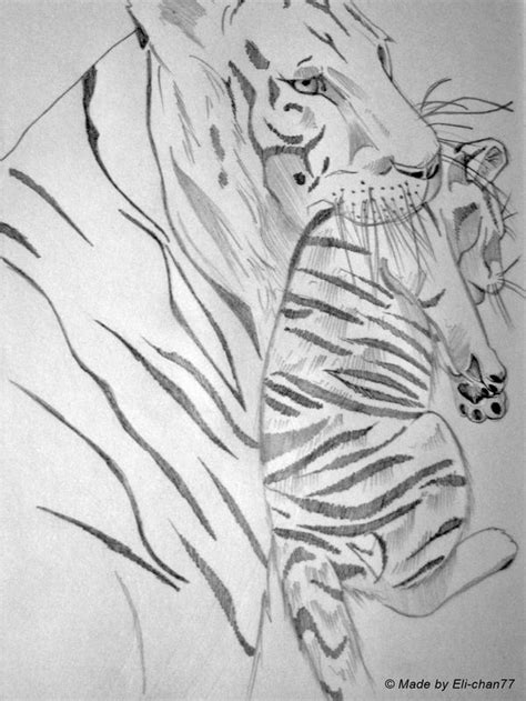 White Tiger By Eli Chan77 On Deviantart