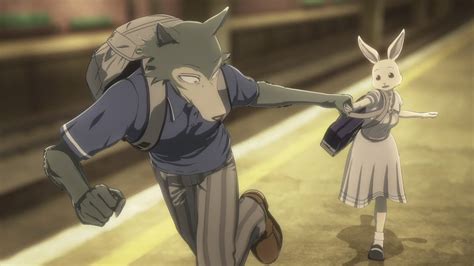 Beastars Season 3plot Details Characters And More Updates In 2022