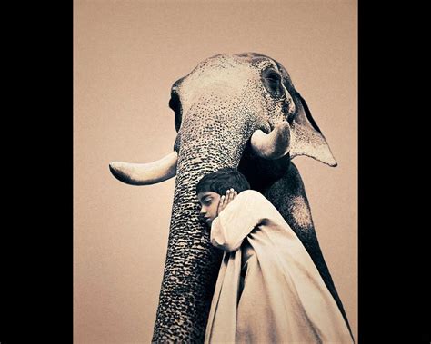 Ashes And Snow Gregory Colbert Elephant Animals