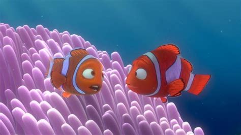 Finding Nemo Finding Nemo Image 3561584 Fanpop