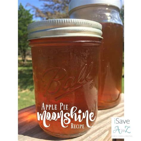 It was so good and so popular, not only with my friends and family but apparently also with you, my readers. Apple Pie Moonshine Recipe - iSaveA2Z.com