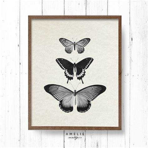 Butterfly Print French Farmhouse Decor Country Cottage Wall Etsy