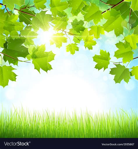 Natural Background Royalty Free Vector Image Vectorstock