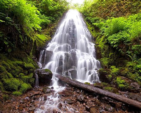 Fairy Falls Columbia River Oregon Water Bushes Rock Falls Hd