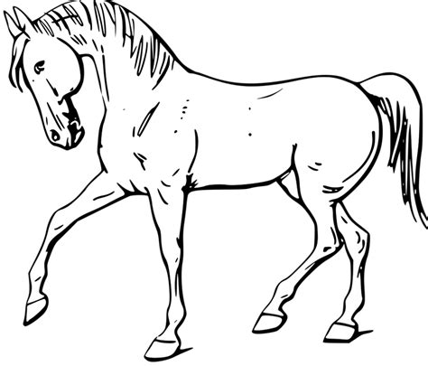 Download High Quality Horse Clipart Black And White