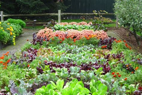 Shade Vegetable Garden Design