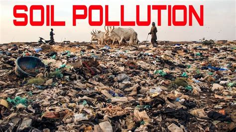 Lets have a look at causes, effects we may not be able to see the effects with clarity, but the land is being polluted and abused constantly, and we are unable to calculate the. Causes effects and prevention of soil pollution | soil ...
