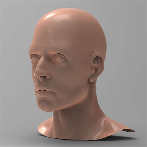 Human Male Head 3d Model 22 3ds Fbx Ma Max Obj Free3d
