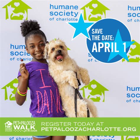 The Humane Society Of Charlotte Pet Adoptions And Animal Shelter