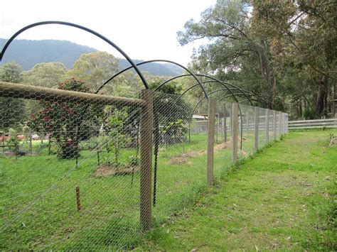 Avigard hex mesh fruit tree bird net protects cherries, apples, figs, pears, plums, persimmons, kiwi these knitted super premium grade nets are soft on fruit but tough to resist tearing and will last for up. Badger Farm: bird netting for fruit trees