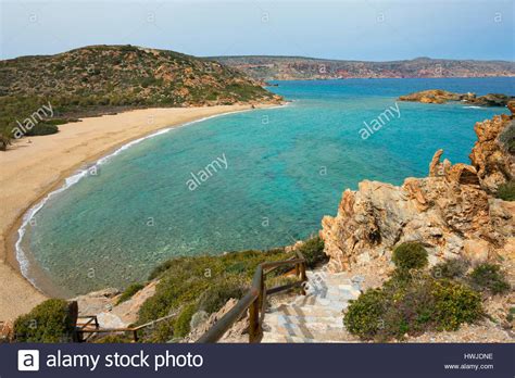 Date palm, tree of the palm family (arecaceae) cultivated for its sweet edible fruits. Cretan Date Palm High Resolution Stock Photography and ...