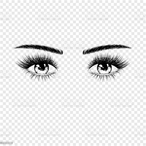 Female Eyes Silhouette With Eyelashes And Eyebrows Vector Illustration