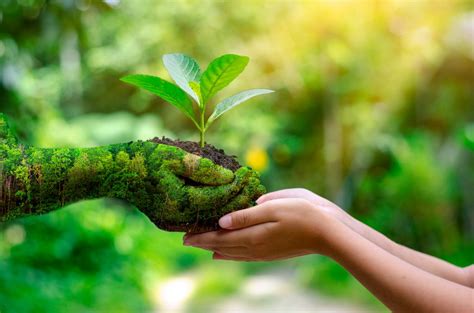 9 Things You Can Do Today To Be More Eco Friendly A Better Way To Age