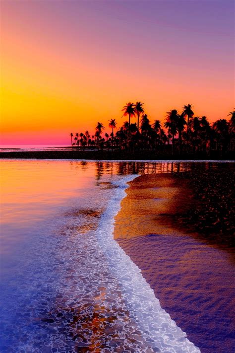 Wallpaper Beach Tropics Sea Sand Palm Trees Sunset Sunset Beach