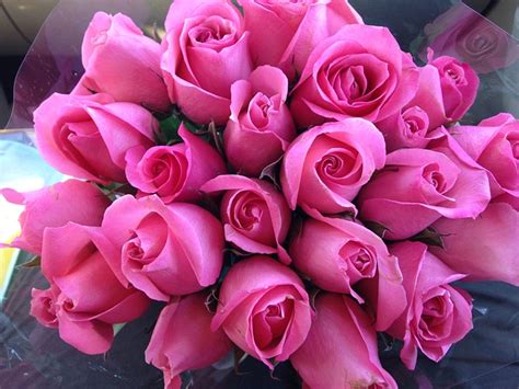 Free Photo Pink Roses Flower Bouquet Free Image On