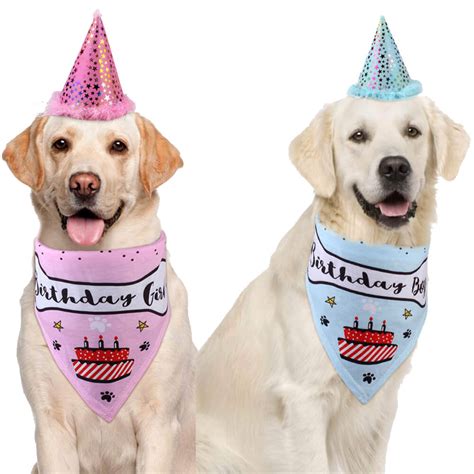 Renri (the common person's birthday). Shiny Dog Birthday Hat and Bandana Set with Birthday Girl ...