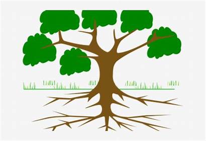Roots Animated Clipart Cartoon Tree Webstockreview