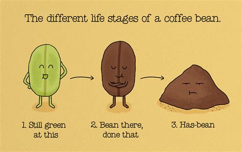 Fun Food Facts Presented With Adorable Cartoons And Puns Foodiggity