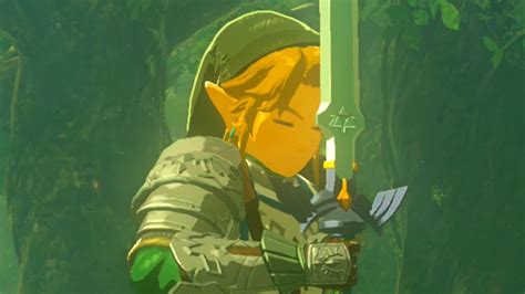 How Many Hearts Do You Need To Get The Master Sword In Zelda Breath Of