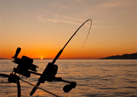 Pesca Deportiva Todo Lo Que Necesitas Saber Sobre La Actividad