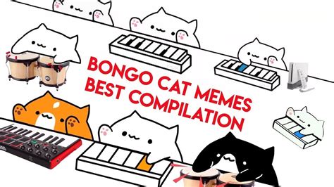 Biggest Bongo Cat Meme Compilation Youtube