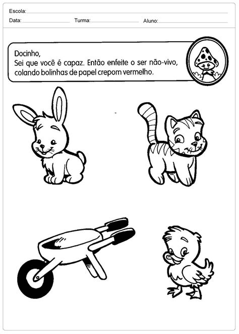 Atividade Sobre Seres Vivos